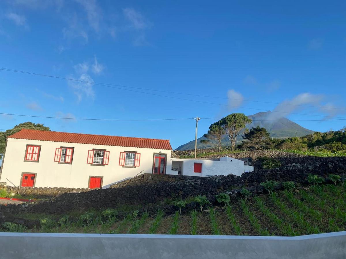 Picocomigo Villa Sao Joao  Eksteriør billede